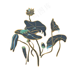 小暑大暑清凉荷叶新式荷花