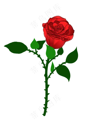 玫瑰花鲜花元素
