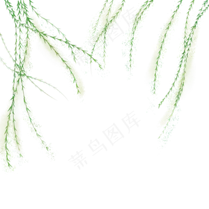 卡通手绘春季植物