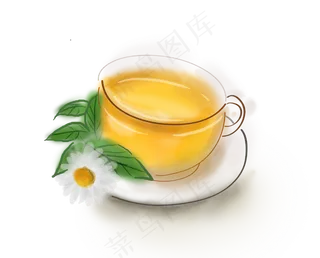 白露手绘古风菊花茶,免抠元素