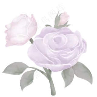 典雅手绘紫色玫瑰花