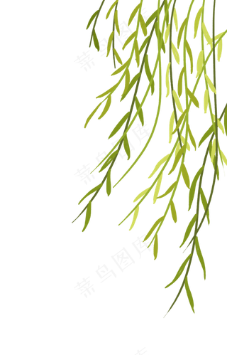 清明节春天飘动柳叶