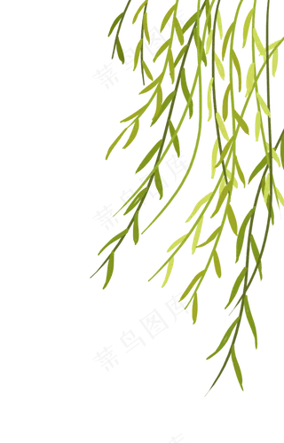 清明节春天飘动柳叶