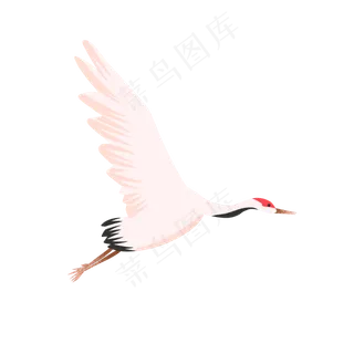 中国飞翔起飞展翅仙鹤,免抠元素