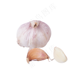 大蒜实拍(png免抠) 大蒜实拍(png免抠)
