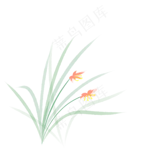 绿色植物叶子手绘兰花叶子透明底 绿色植物叶子手绘兰花叶子透明底