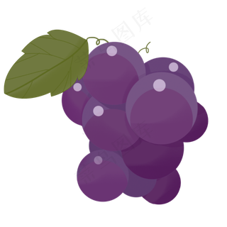 葡萄甜叶子紫色水果