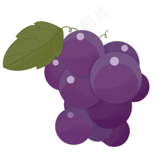 葡萄甜叶子紫色水果