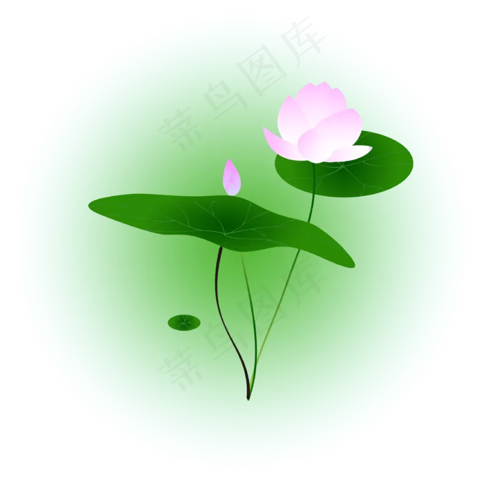 夏日荷花清新精美(3334*3334px 300 dpi )ai矢量模版下载