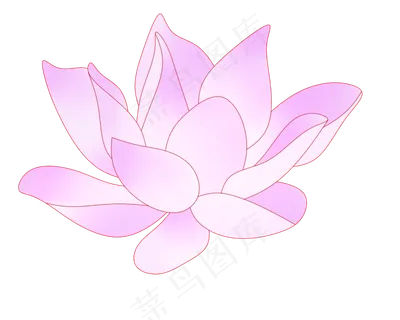 紫色唯美荷花插图