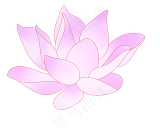 紫色唯美荷花插图