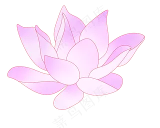 紫色唯美荷花插图