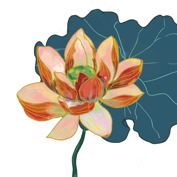 夏季荷花(3000X3000(DPI:300))psd模版下载