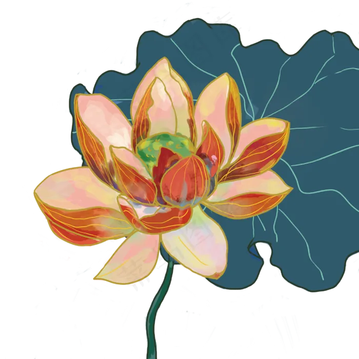 夏季荷花(3000X3000(DPI:300))psd模版下载