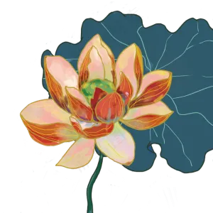 夏季荷花