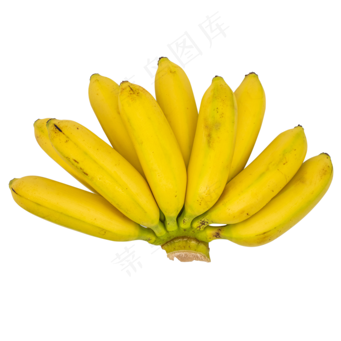 黄色芭蕉香蕉(2000*2000px 300 dpi )