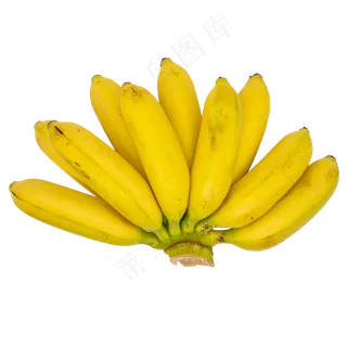 黄色芭蕉香蕉