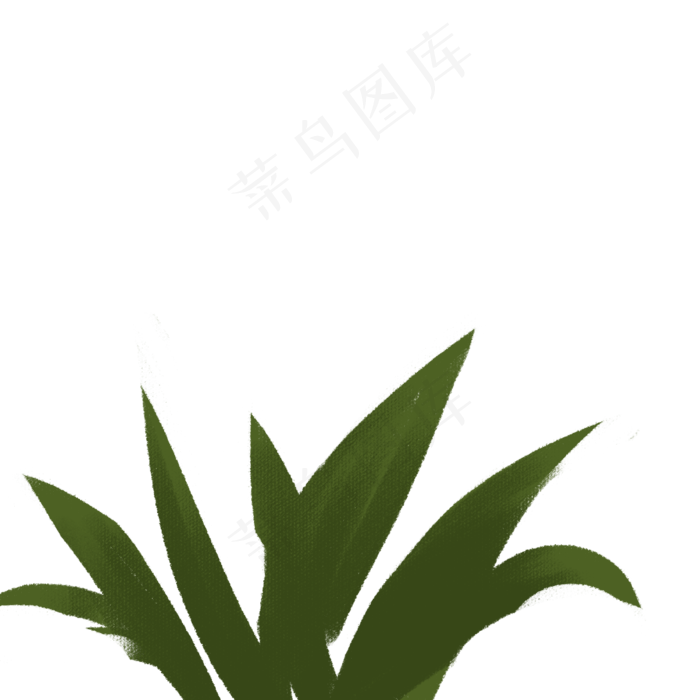 春天植物绿叶下载
