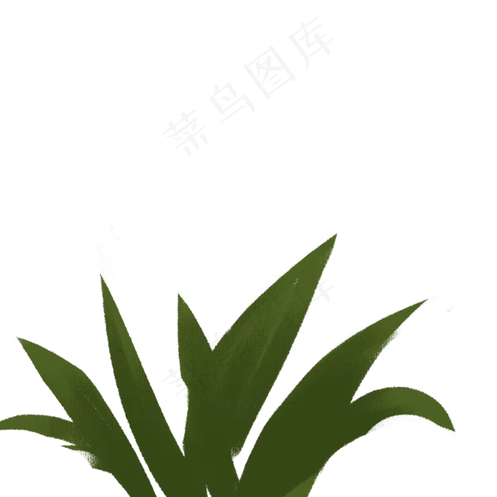 春天植物绿叶下载
