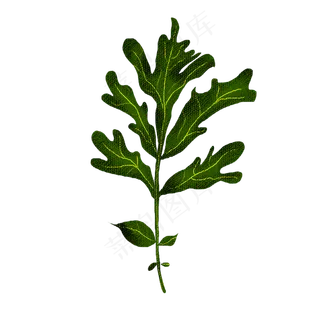 端午节装饰仿真艾草PNG图片