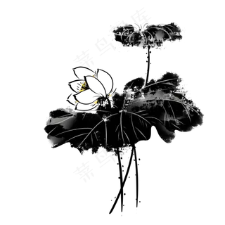 中国风水墨荷花