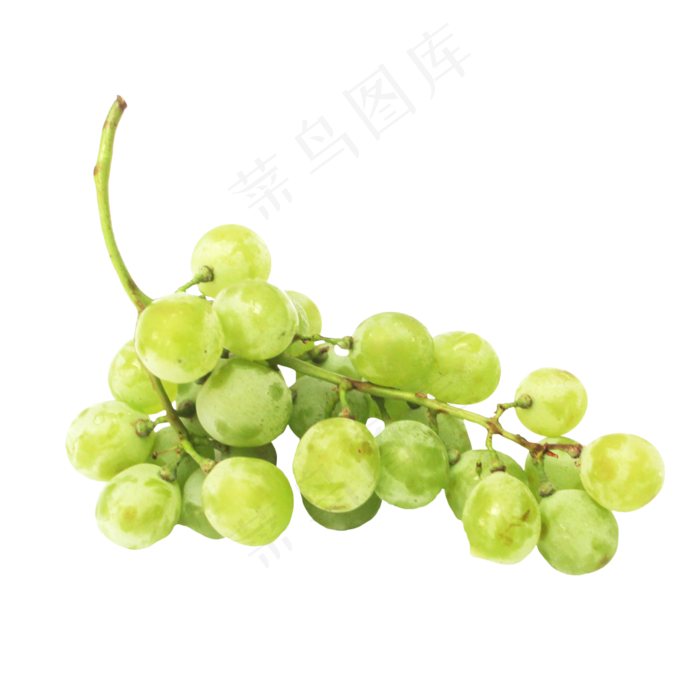 夏日提子青提葡萄(2000X2000(DPI:300))