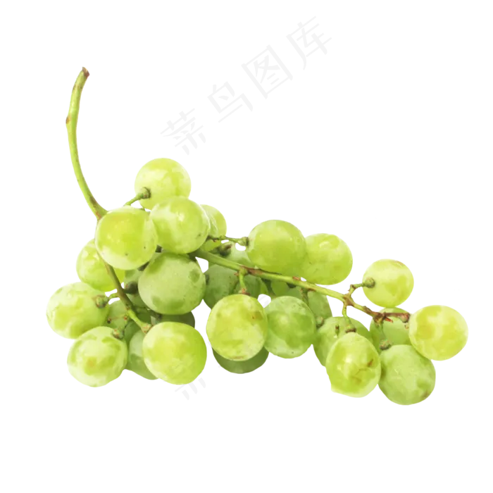 夏日提子青提葡萄(2000X2000(DPI:300))