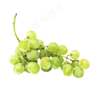夏日提子青提葡萄