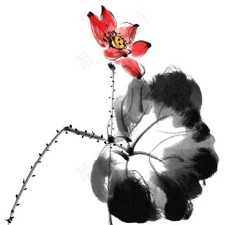 水墨红色荷花