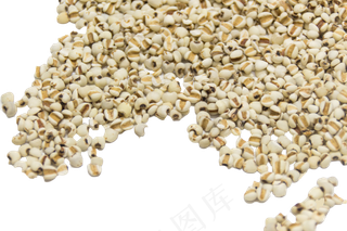 薏仁薏米,免抠元素