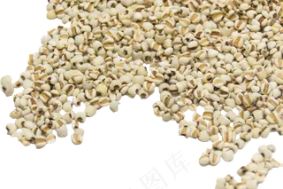 薏仁薏米,免抠元素