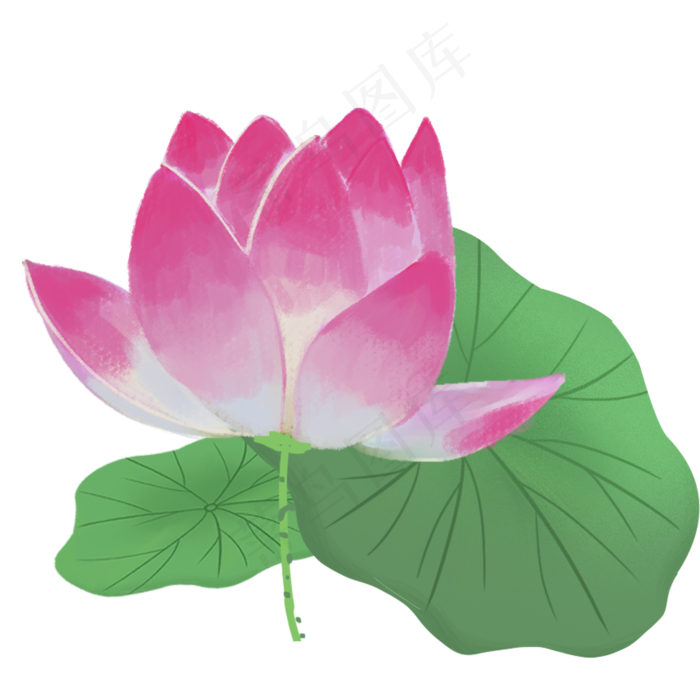 绿色的荷叶的荷花免抠图