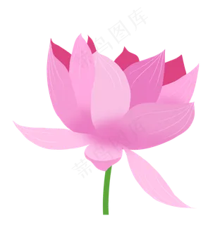 粉色荷花卡通植物