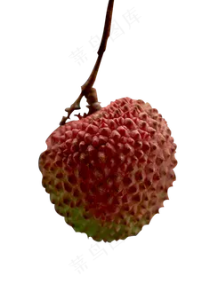 新鲜水果荔枝一个,免抠元素