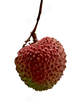 新鲜水果荔枝一个,免抠元素