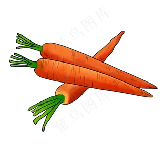 萝卜红萝卜新鲜蔬菜水果