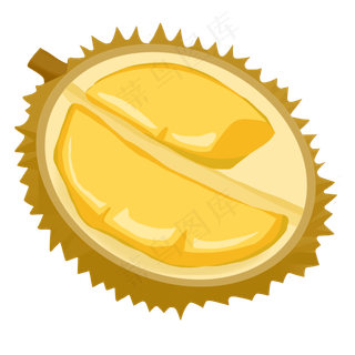 榴莲水果之王韶子