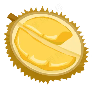 榴莲水果之王韶子