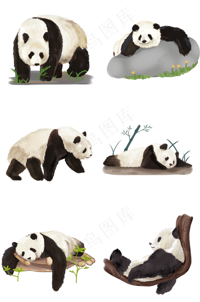 仿真大熊猫动物PNG免抠图(2000*3020px 300 dpi )psd模版下载