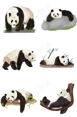 仿真大熊猫动物PNG免抠图