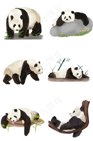 仿真大熊猫动物PNG免抠图