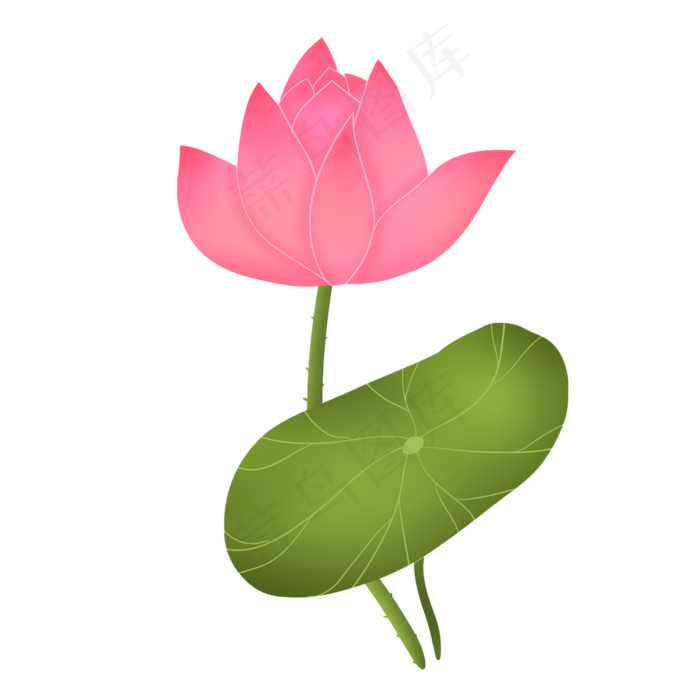 粉红色可爱温馨荷花