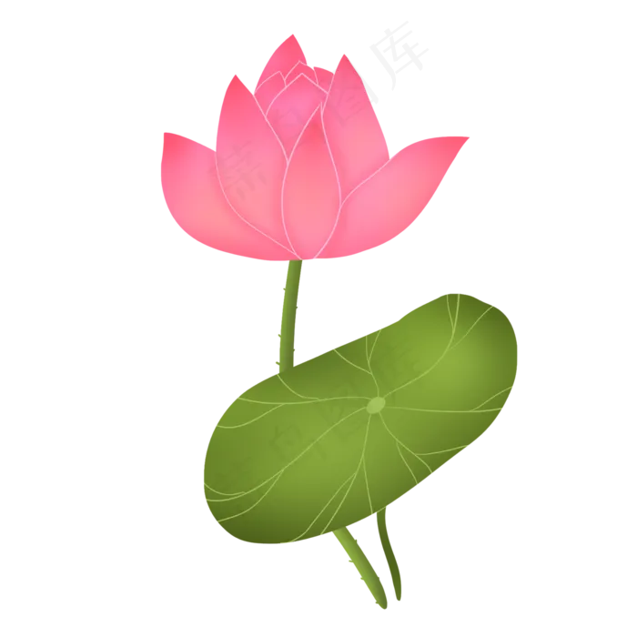粉红色可爱温馨荷花(2000X2000(DPI:300))psd模版下载