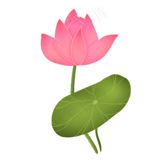 粉红色可爱温馨荷花