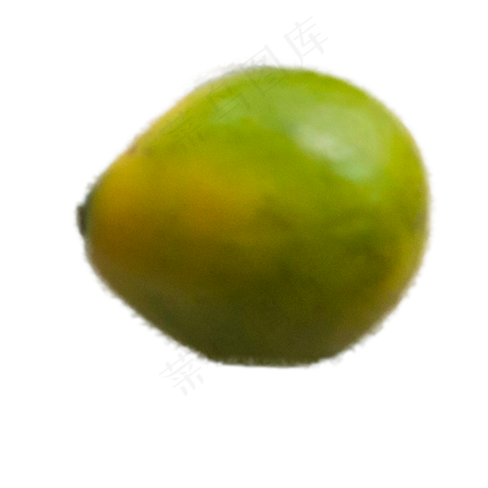 一个青色的橘子下载(2000X2000(DPI:300))psd模版下载