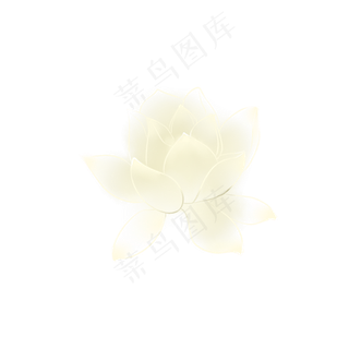 中国风半透明手绘荷花