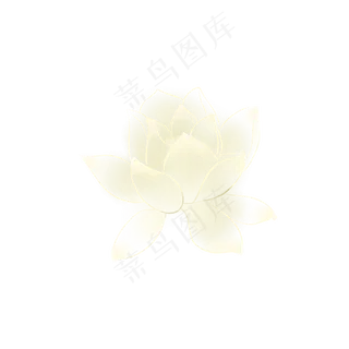 中国风半透明手绘荷花