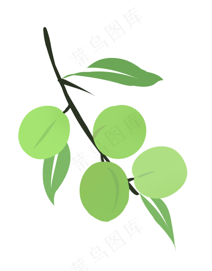 夏季水果青梅小吃