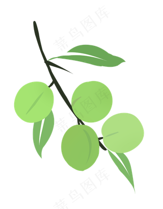 夏季水果青梅小吃