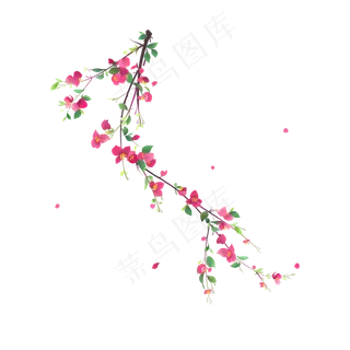 中国风国画没骨写实手法一枝三角